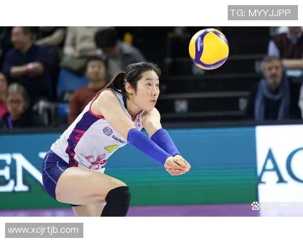 深圳排球队实力强劲荣登全国排球实力排行榜第四名